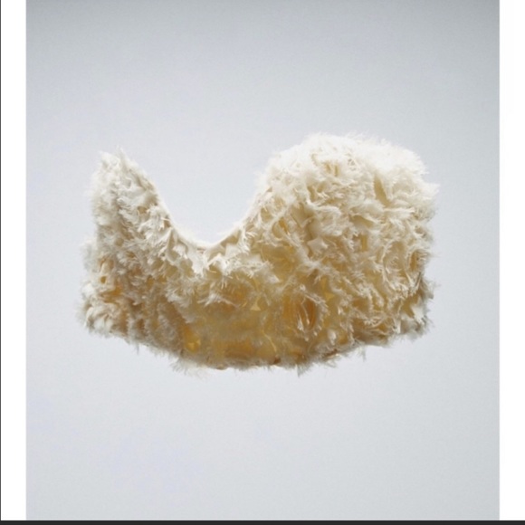 Color vanilla - Picture 4 of 5